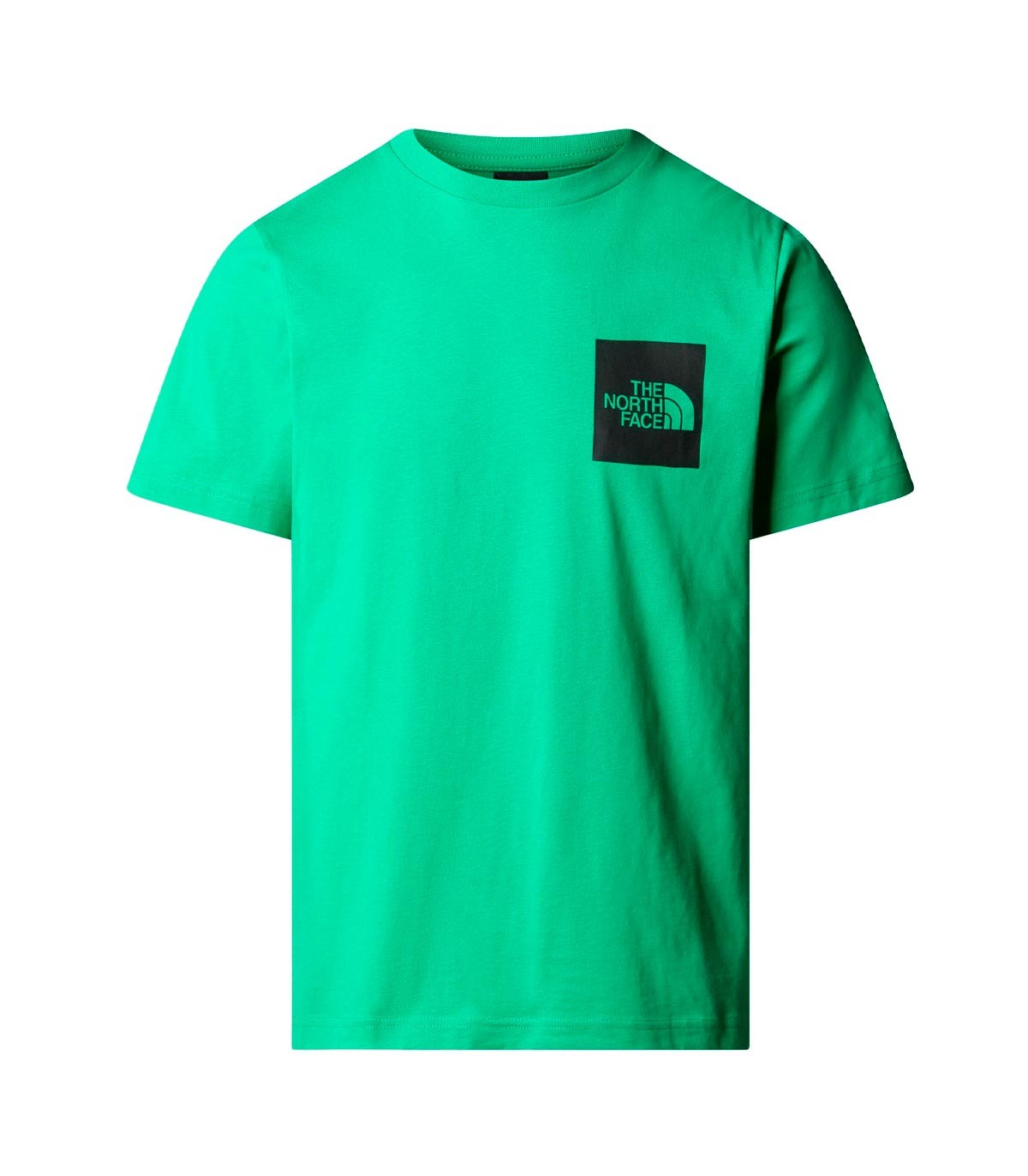 The North Face - Camiseta Box Logo - Verde