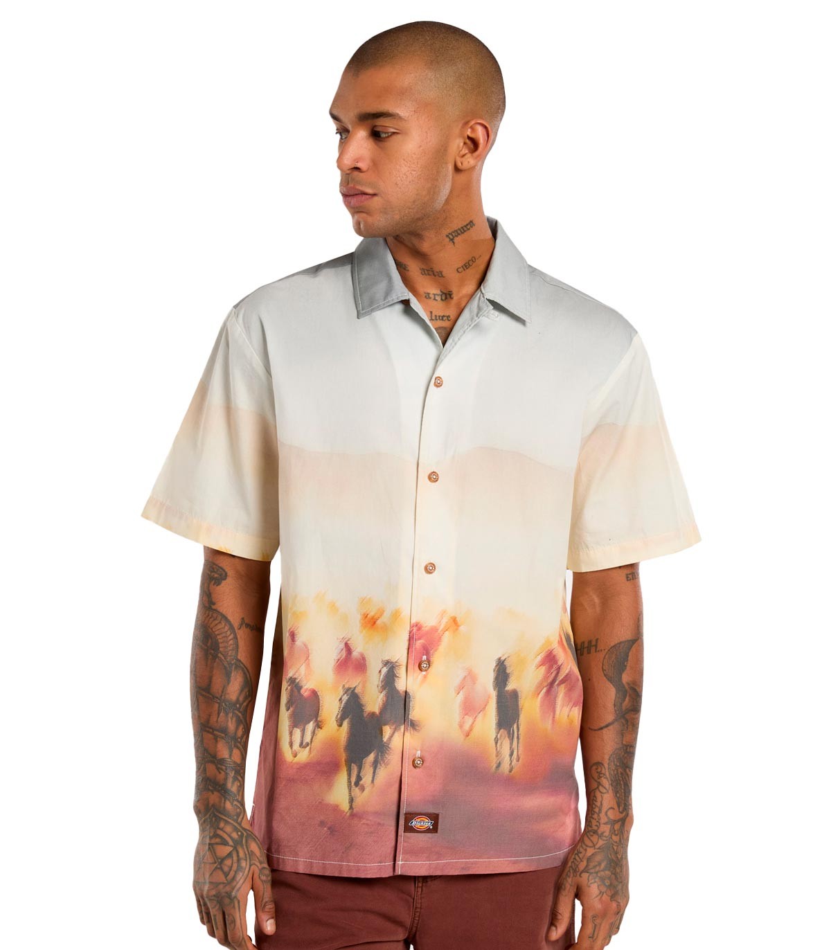 Dickies - Camiseta Running Wild - Multicolor