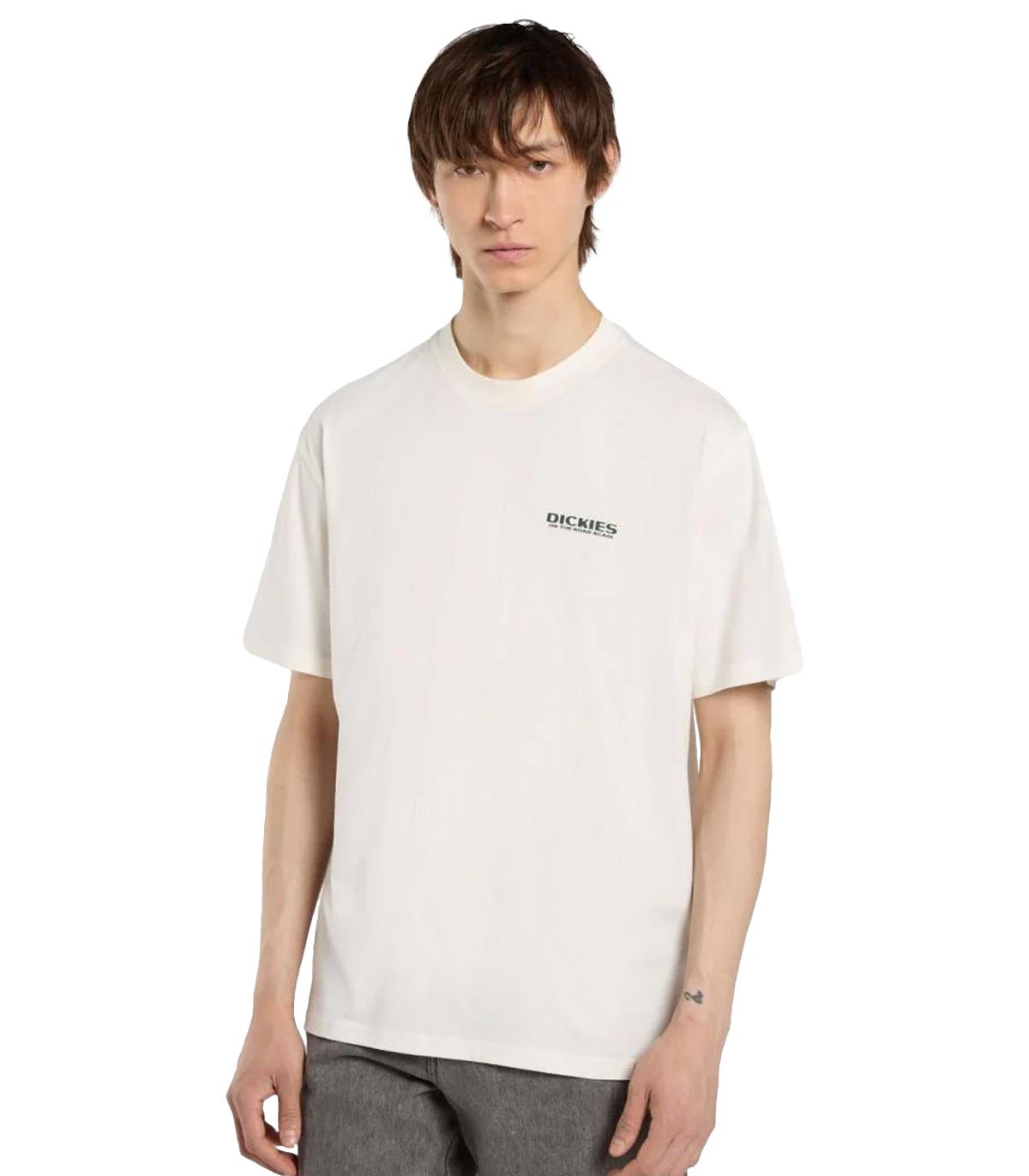 Dickies - Camiseta Burns SS - MULTICOLOR